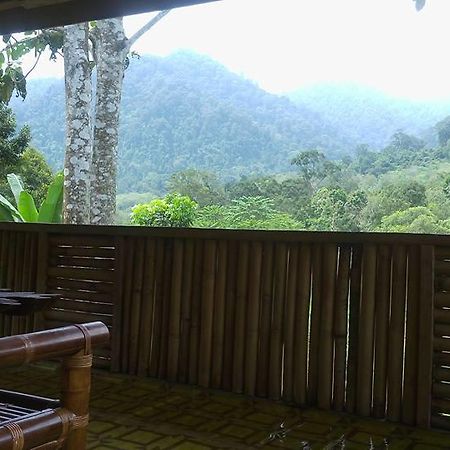 Batu Kapal Jungle Houses Vendégház Binjai Kültér fotó