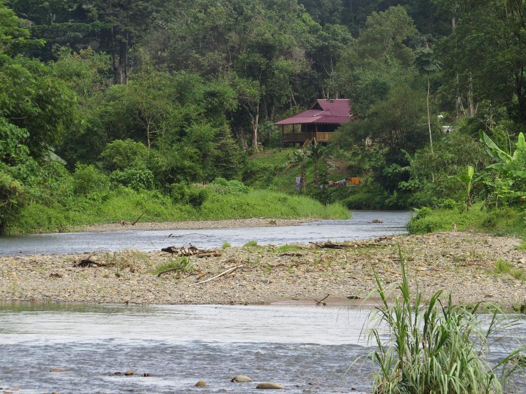 Batu Kapal Jungle Houses Vendégház Binjai Szoba fotó