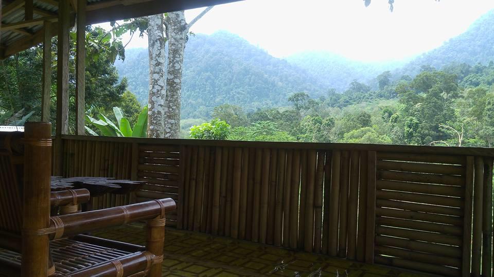 Batu Kapal Jungle Houses Vendégház Binjai Kültér fotó