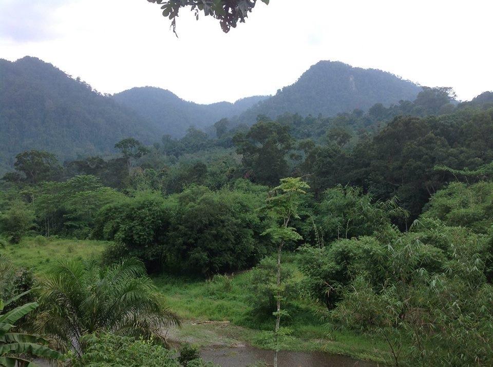 Batu Kapal Jungle Houses Vendégház Binjai Kültér fotó