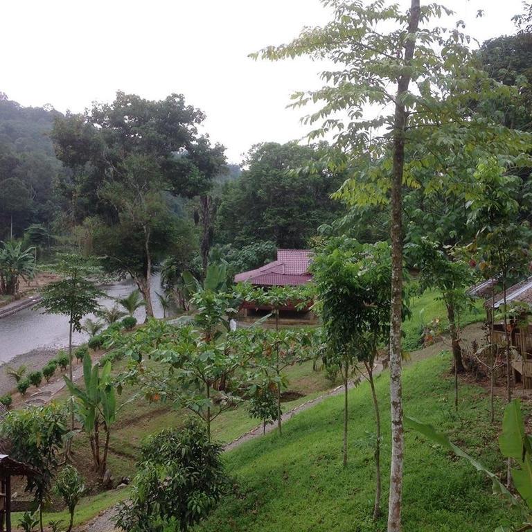 Batu Kapal Jungle Houses Vendégház Binjai Kültér fotó