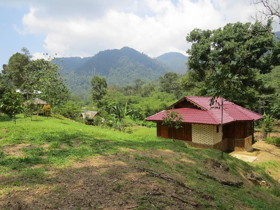 Batu Kapal Jungle Houses Vendégház Binjai Kültér fotó